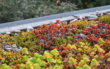 the cost of Grangetown green roof installation
