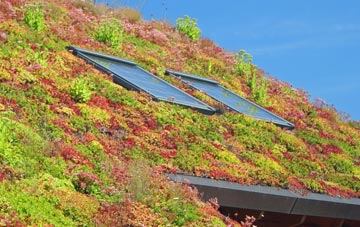 Grangetown living roof systems