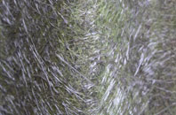 Grangetown fibreglass roof work